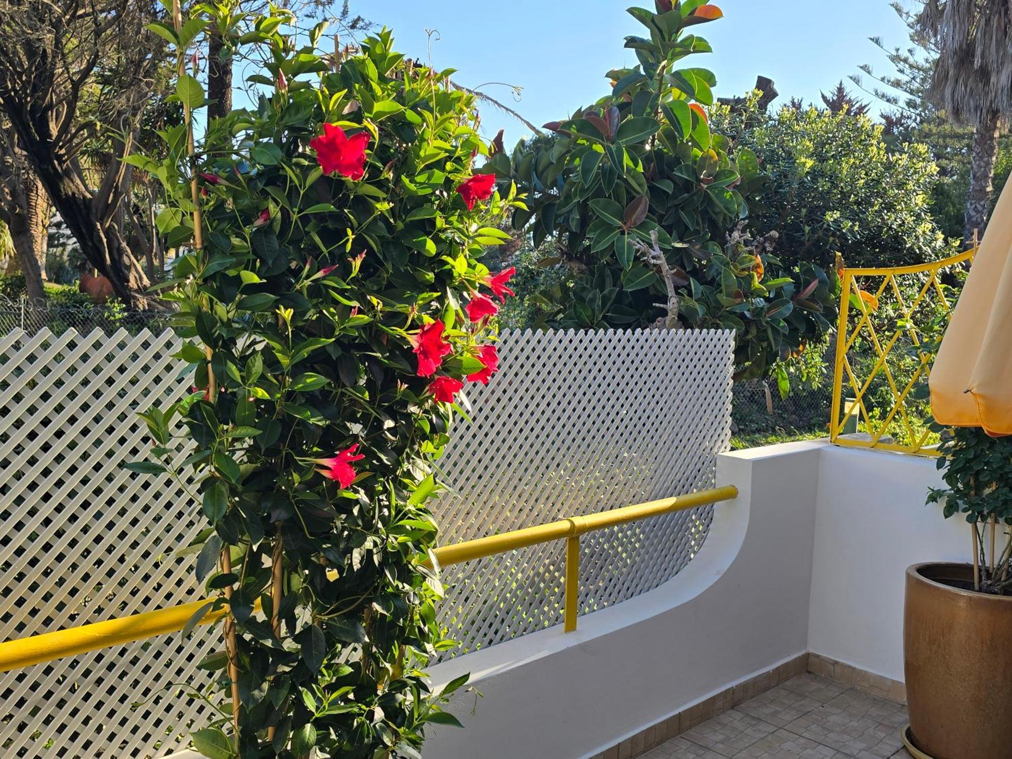 Apartamento Victoria Vilamoura Exteriér fotografie