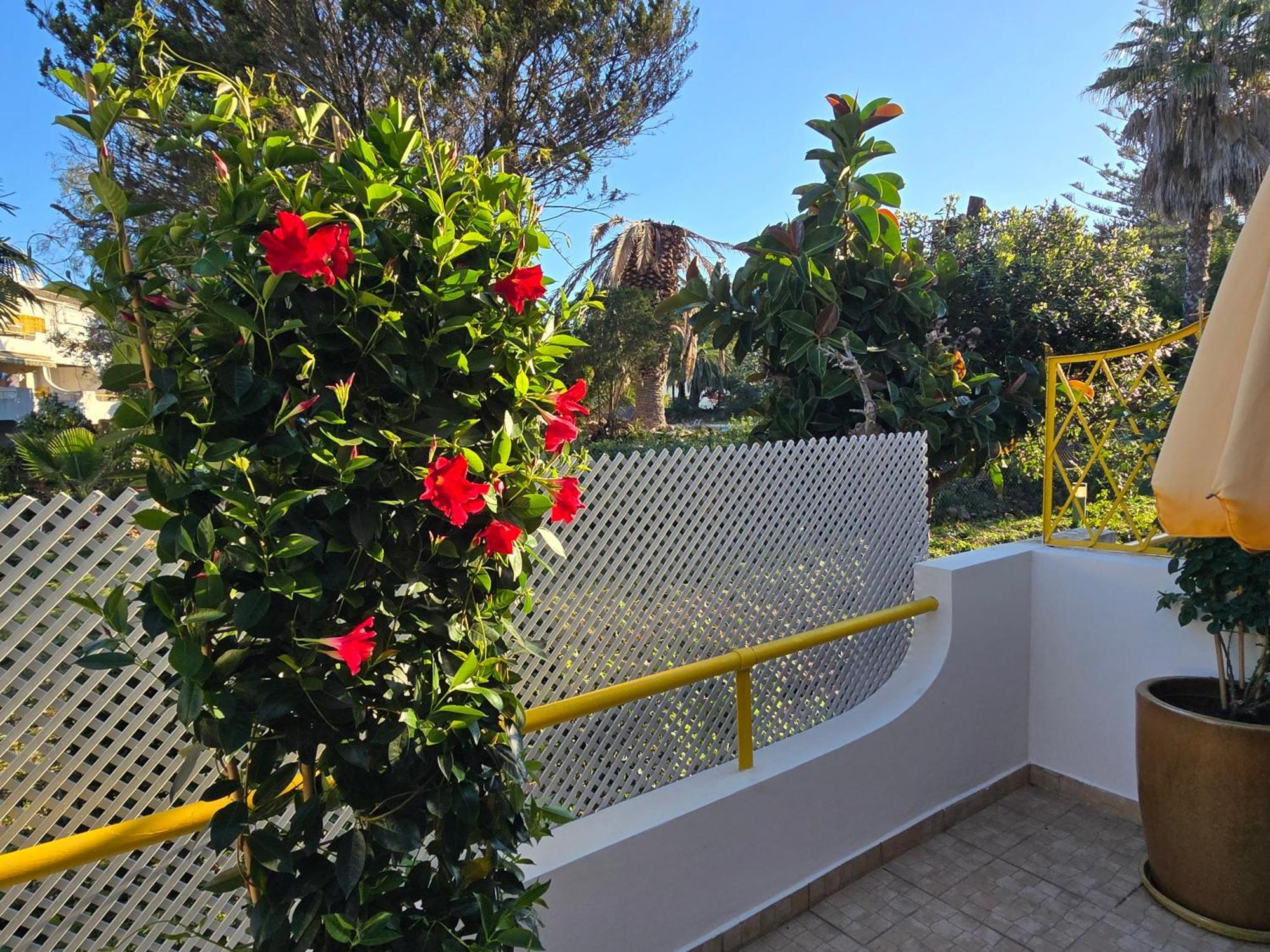 Apartamento Victoria Vilamoura Exteriér fotografie